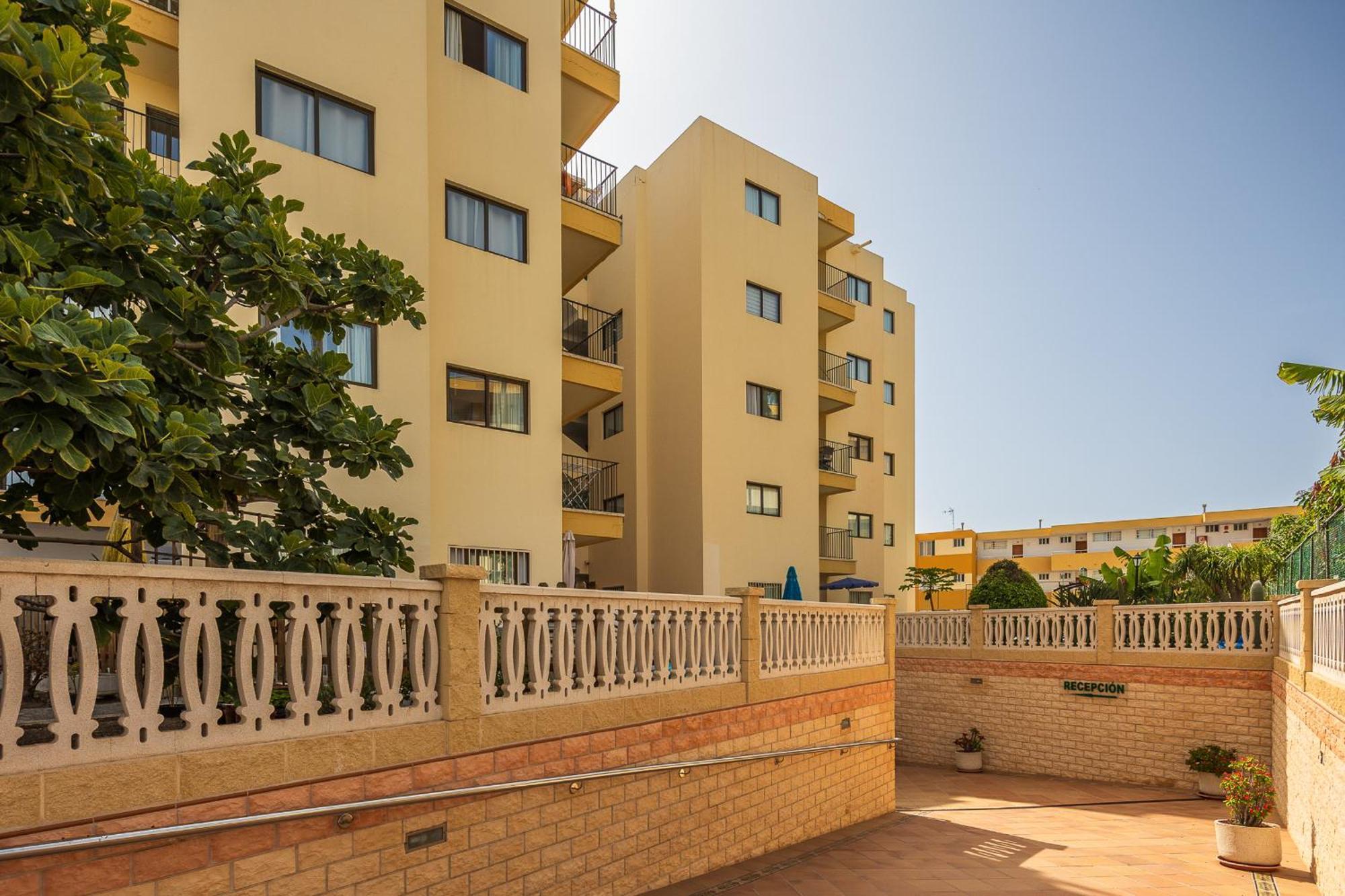 Los Ficus Playa del Ingles  Exterior photo